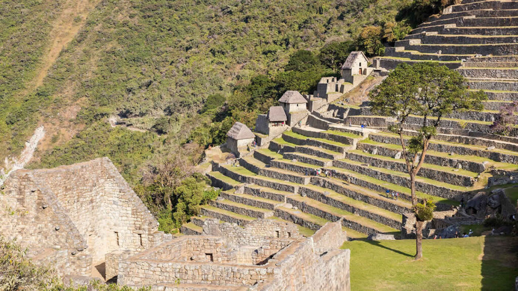 Andenes en Machupicchu